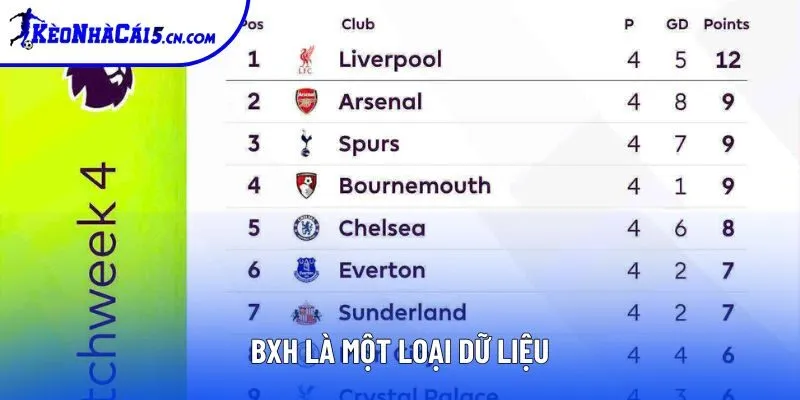 Bảng xếp hạng bóng đá là loại dữ liệu được các fan quan tâm hàng đầu Bảng xếp hạng bóng đá là loại dữ liệu được các fan quan tâm hàng đầu