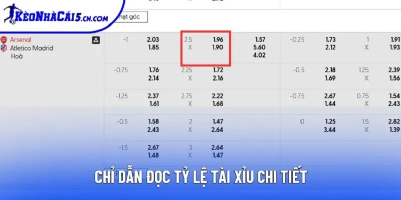 Chỉ dẫn đọc tỷ lệ tài xỉu chi tiết Chỉ dẫn đọc tỷ lệ tài xỉu chi tiết